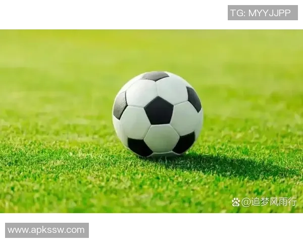 圣德足球：激情与梦想交织的绿茵场上，追逐荣耀与团结的旅程